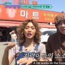지락이의 뛰뛰빵빵 장보러 간 식자재 마트 촬영지 장소 위치 어디? 남**마트, 우당탕탕 장보기