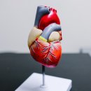 원흥경희한의원 이미지