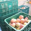 능금농장2 이미지