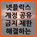 넷플릭스 계정 공유 금지 이미지