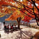 밸리댄스 야간 이미지