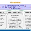 (주)라미 이미지