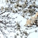 강현면사무소 이미지