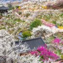 전망대길 10 이미지