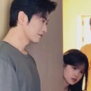 양미미
