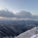 오르다모터스 이미지