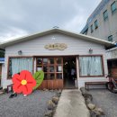 표선연세의원 이미지