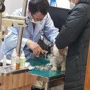 동부동물병원 이미지