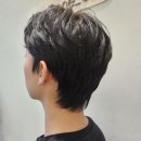 시프헤어