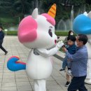 푸푸아일랜드 이미지