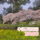 수운근린공원 이미지