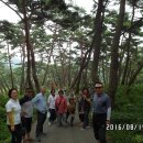 '16.8.14. 서산 서광사 템플스테이 회향(아산 봉곡사, 조치원 비암사 순례) 이미지