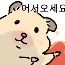 헤브온 에스테틱