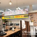 해광은갈치