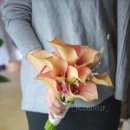 (주)호텔인터불고원주 이미지