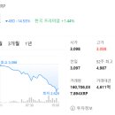 알피 이미지