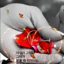 진통뼈사랑 이미지