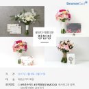 바른손기획 이미지