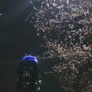 리즈인필라테스