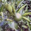 신도시 주유소 화장실 이미지