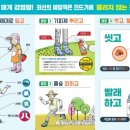 459 이미지