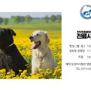 인덕원동물의료센터 이미지