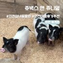 WR(인천광역시 남동구)-20[서창남순환로]-하-2 | [인천/놀거리] 인천 아이들과 가기 좋은 이색 체험...벅스 앤 쥬니멀" 내돈내산 방문 후기(여름 휴가 추천)