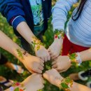 봄날-산책 이미지