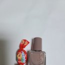 샌드페블 이미지