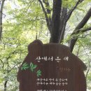 봉암동수원지입구 이미지