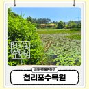 태안 아이랑 가볼만한곳 천리포수목원 후기 수국 명소와 바다 산책길