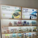 호주면세점 이미지