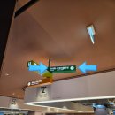 인어공주 | 수원 광교 아쿠아플라넷 아기랑 입장료 주차 정보 인어공주 공연 후기