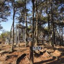 대종농장 이미지