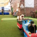 루체인알티스 이미지