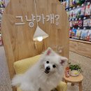그냥가개민락2지구점