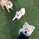 여기서 놀개 이미지