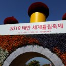 2019 태안 세계튤립축제장 사전 답사 이미지