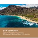 알로하 이미지
