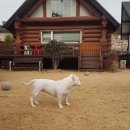 경주숲속펜션 이미지