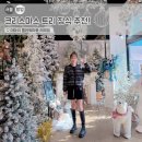 해도그린마트 | 올해 크리스마스 트리 장식 여기서 끝! 더마쉬 플라워마트 태재점 방문 후기