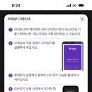 하이원펫클럽 이미지