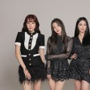 브레이브걸스 카카오 검색결과