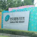 양지파인리조트 이미지