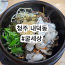 굴세상 | 청주 내덕동 굴 맛집 싱싱한 굴이 듬뿍인 굴세상 후기