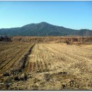 장구농장 이미지