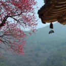 페이스북 계정만들기(폰, PC에서) 이미지