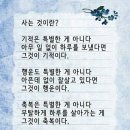 포항 날씨 (2021년11월7일 일요일) 이미지