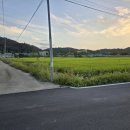 영천우체국 이미지