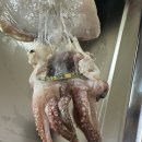 주식회사 오성식품 이미지